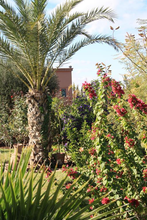 Bed and Breakfast Terra Mia Marrakech Ouled Jelal Esterno foto